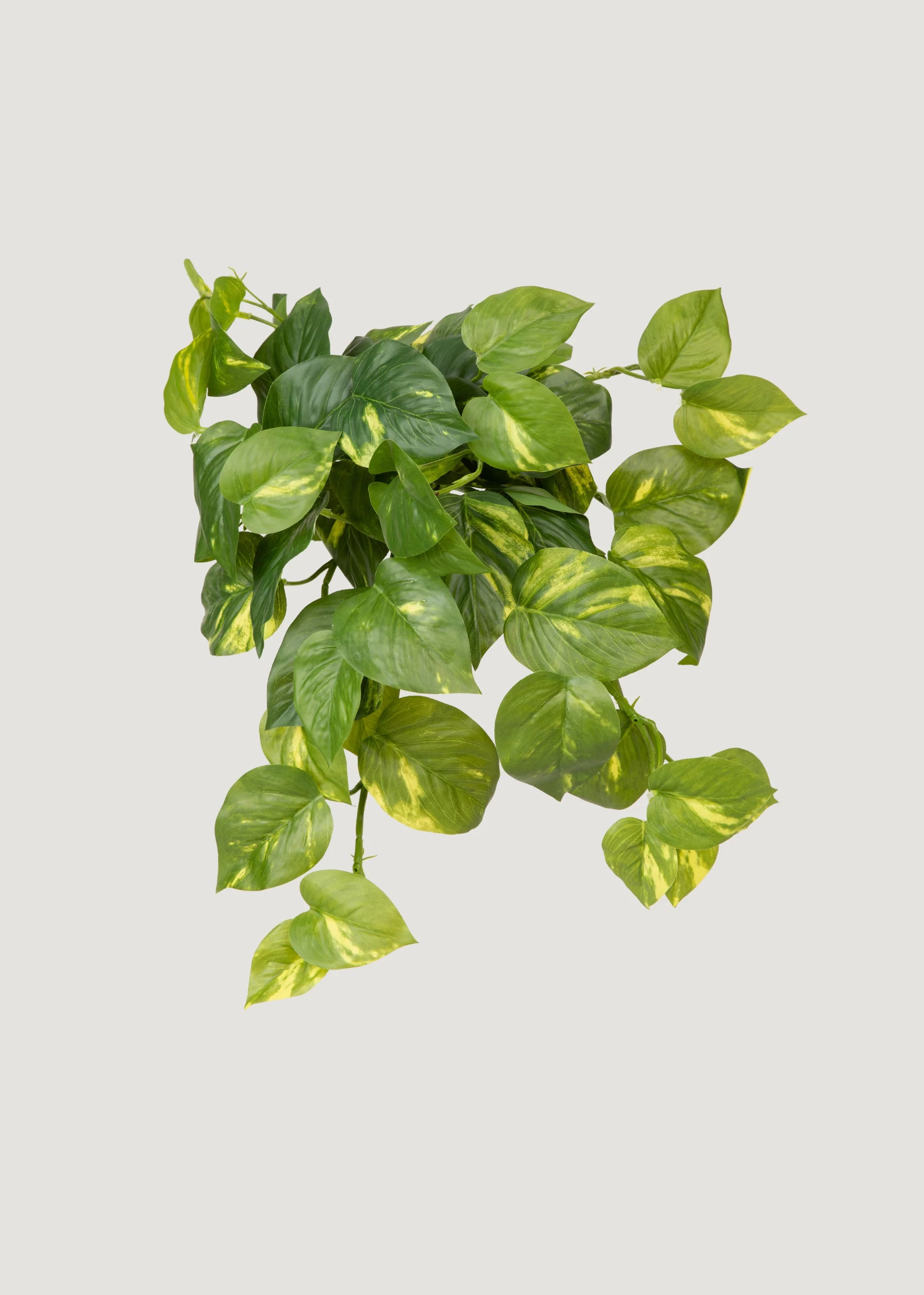 Pothos Hanging Bush | Artificial UV Treated Outdoor Plants | Afloral | Afloral