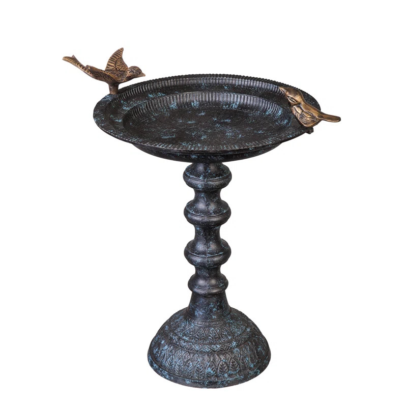 Albermarle Cast Iron Pedestal Birdbath | Wayfair North America