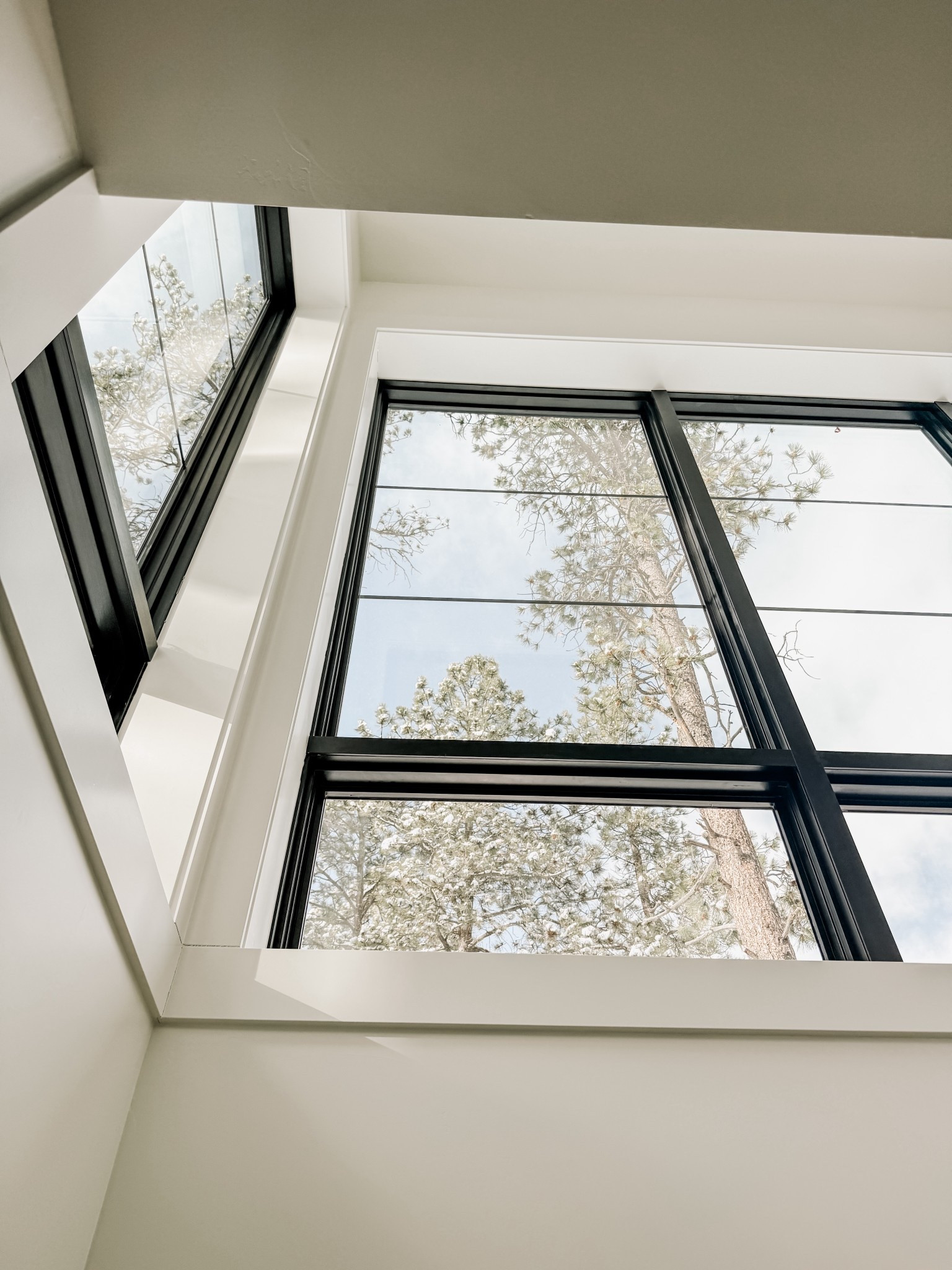 Windows were a must in the stairwell! They make the space more interesting and bring in so much natural light. 


#LTKSeasonal #LTKHome #LTKdayinmylife