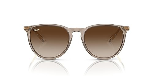 Ray-Ban Women's Rb4171 Erika Round Sunglasses | Amazon (US)