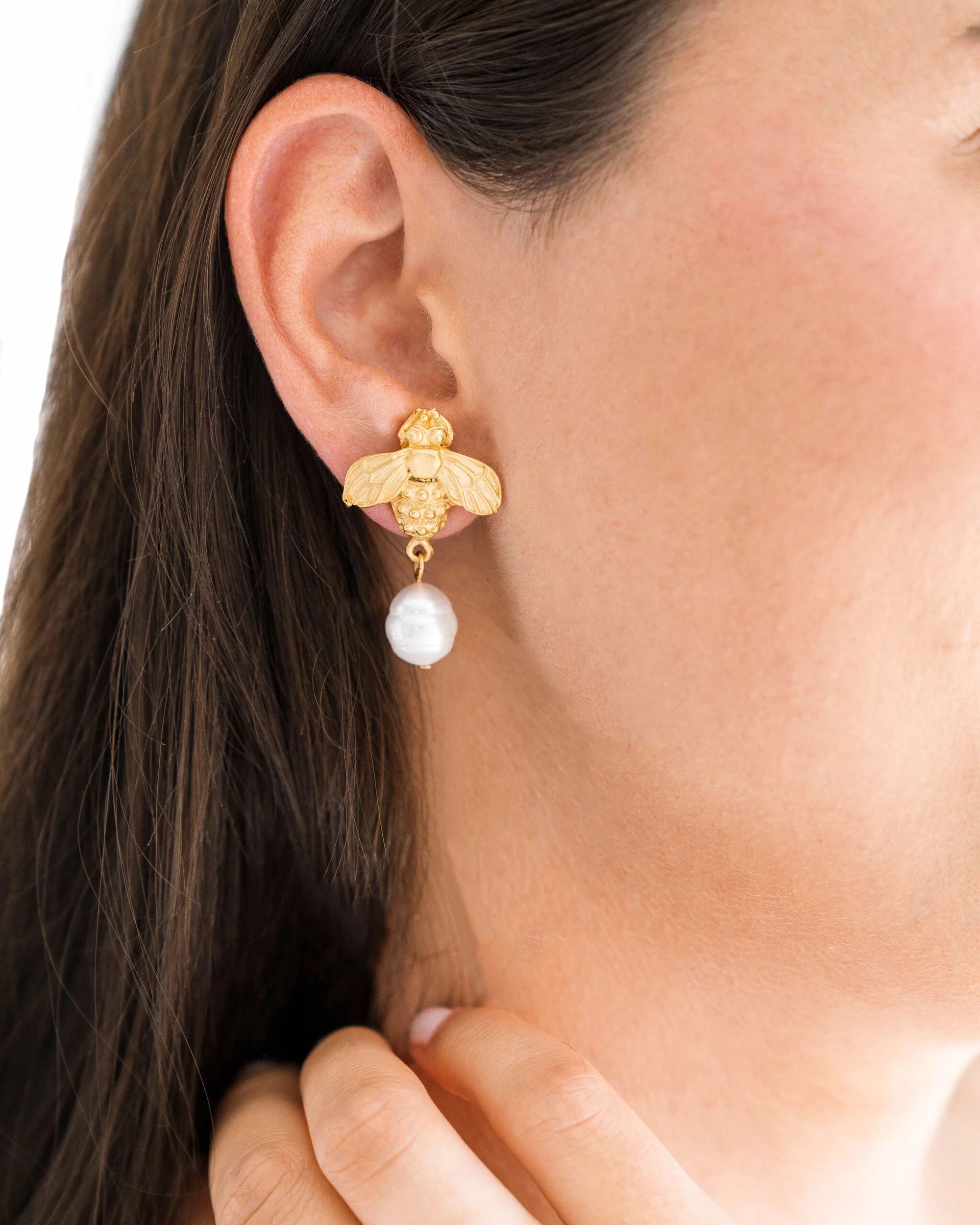 Bee Collection | Susan Shaw
