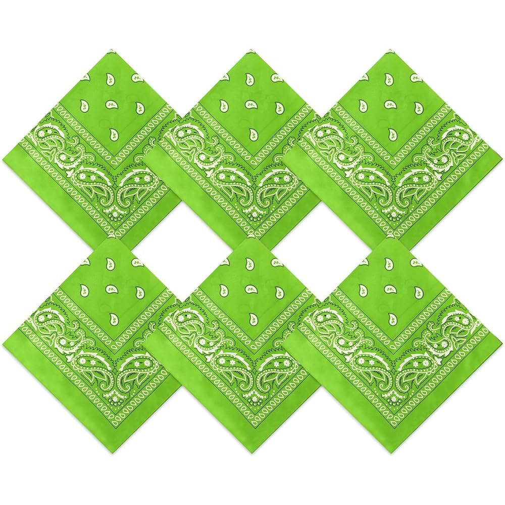 Blulu 6 Pcs Neon Color Cowboy Bandanas for Men Women Assorted Paisley Pattern Handkerchiefs 22 x ... | Amazon (US)