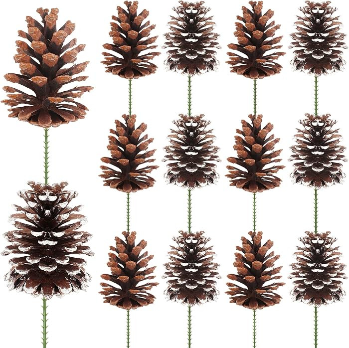 Fangoo 12Pcs 3.1-4.7in Large Natural Pine Cone Picks Snow Christmas Pine Cones with Stems for Crafts Holiday Wreath Garland Party Ornaments Flower Arrangement Fall Thanksgiving Decor (Natural White) | Amazon (US)