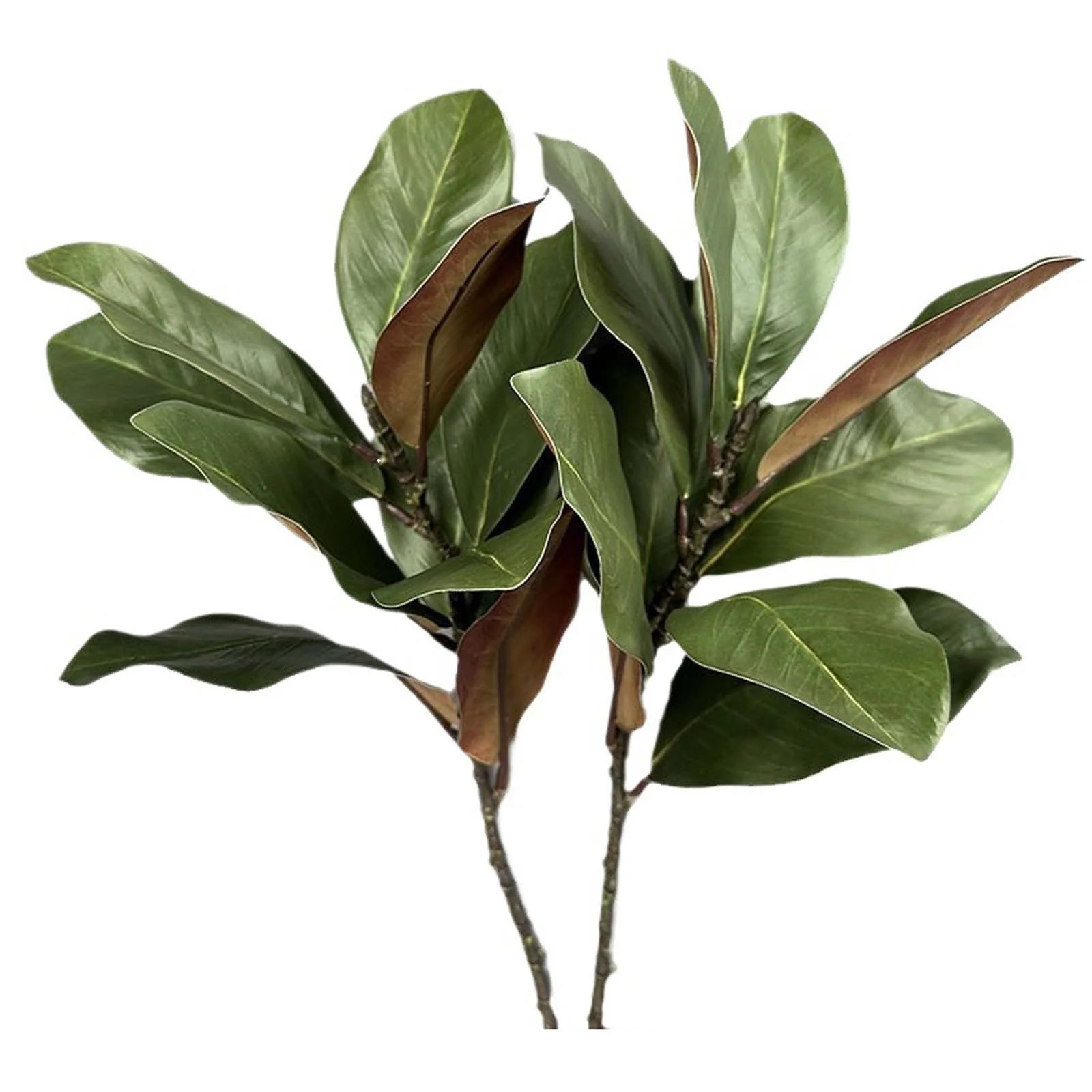 Daolelai Artificial Magnolia Leaf | Walmart (US)