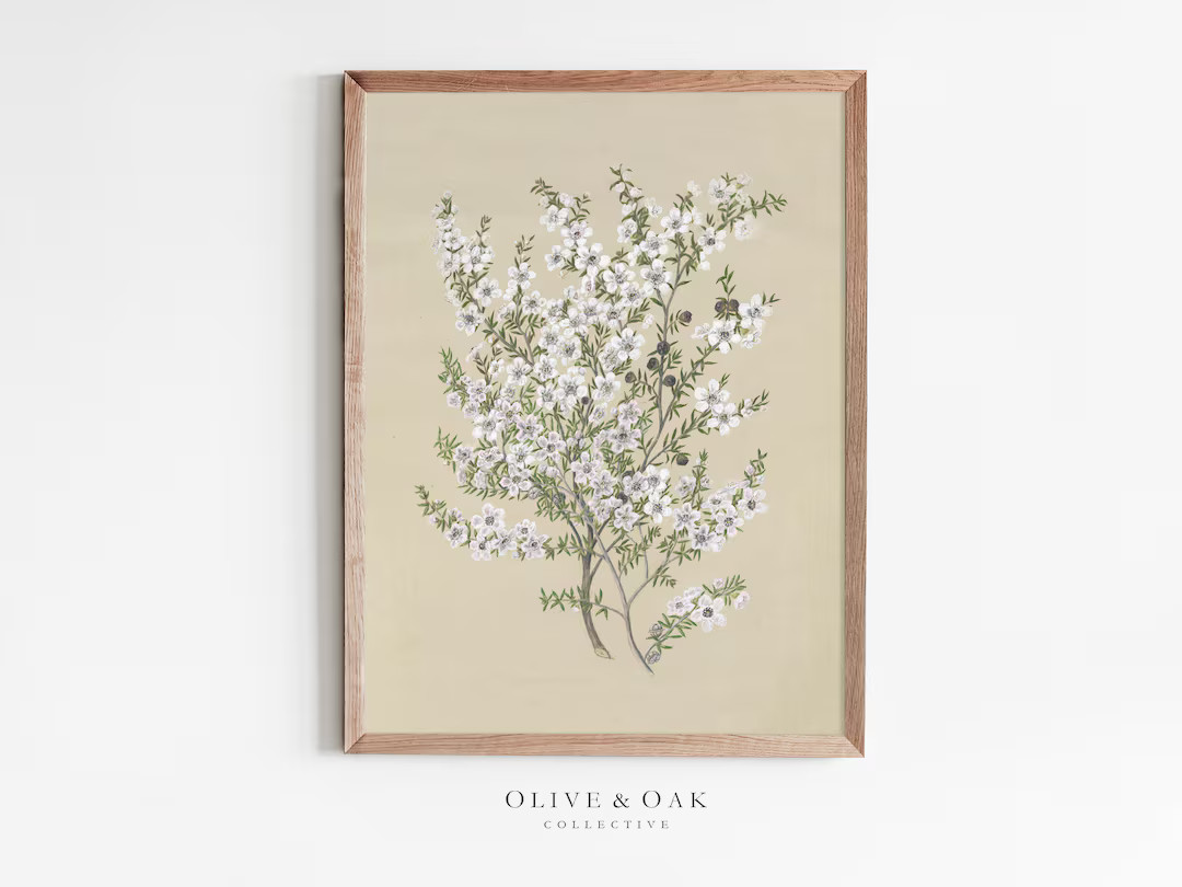 Vintage Flower Drawing / Printable Wall Art / Digital Download Art / Neutral Decor Art Print / Fl... | Etsy (US)