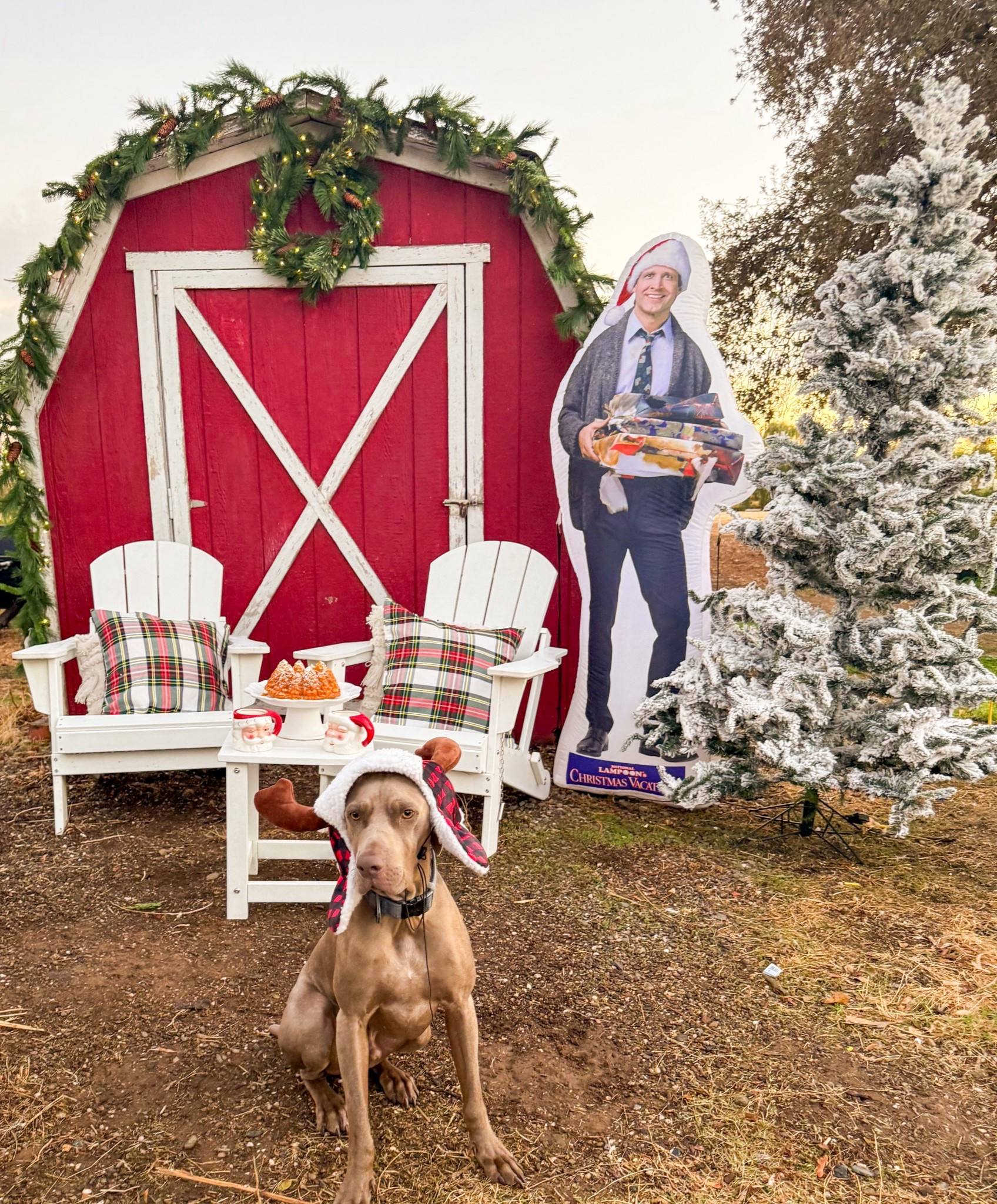 Holiday barn decor. Gorgeous wreath and greenery. Clark Griswold. National Lampoon’s Christmas Vacation movie decor. ❤️

#LTKPets #LTKHome #LTKHoliday