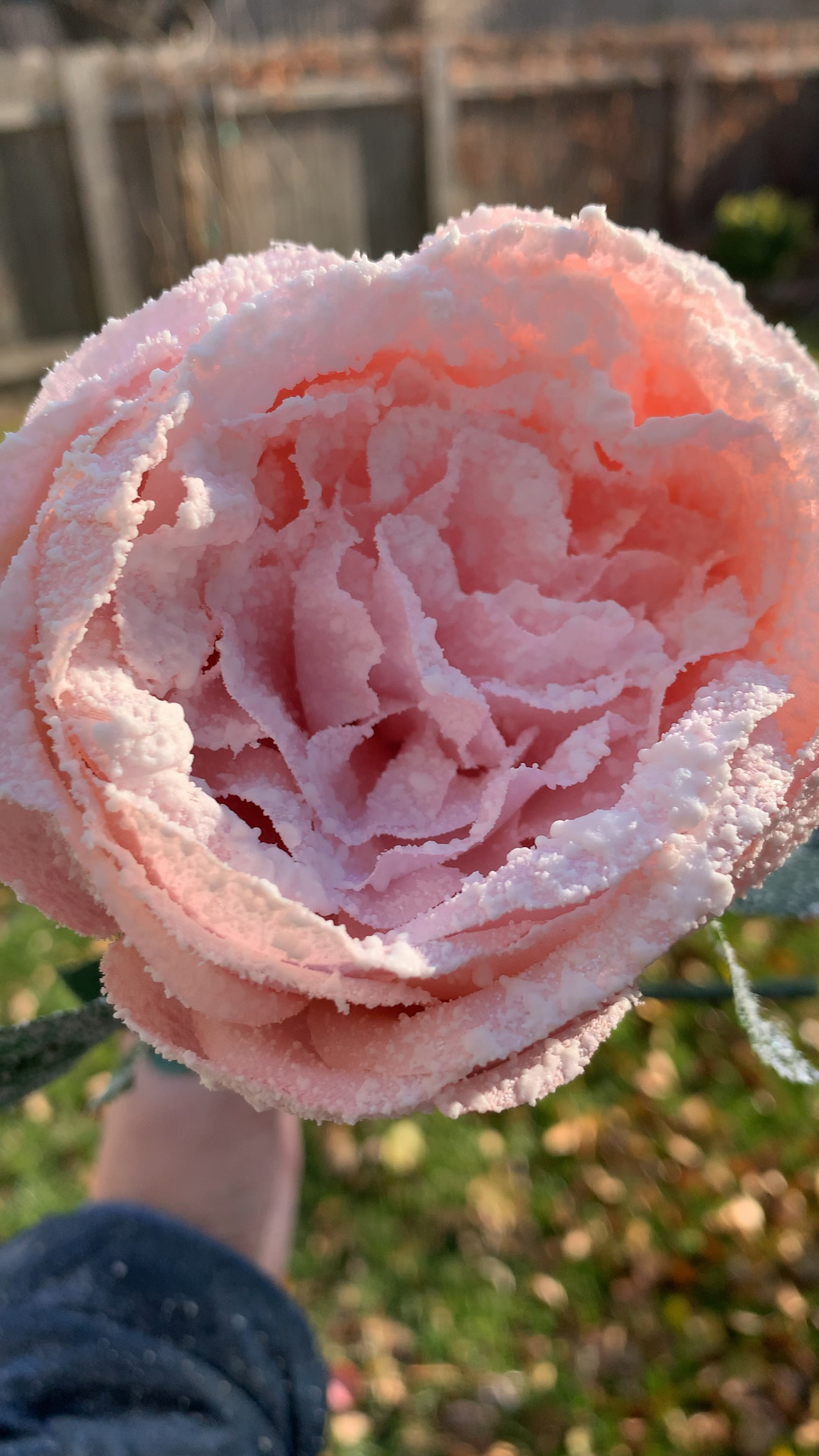 Give your faux florals and greenery a whimsical, wintery look for the season!

With this inexpensive faux snow, you can transform any fake flowers or greenery you already have on hand & make it perfect for your Christmas or Winter decorations! ❄️ 

The can with the white lid linked below is the exact product I used to flock my pink roses in the video.  The flocking in the box I haven't tried yet, but I will be trying soon as it has amazing reviews! 


#LTKSeasonal #LTKHoliday #LTKhome