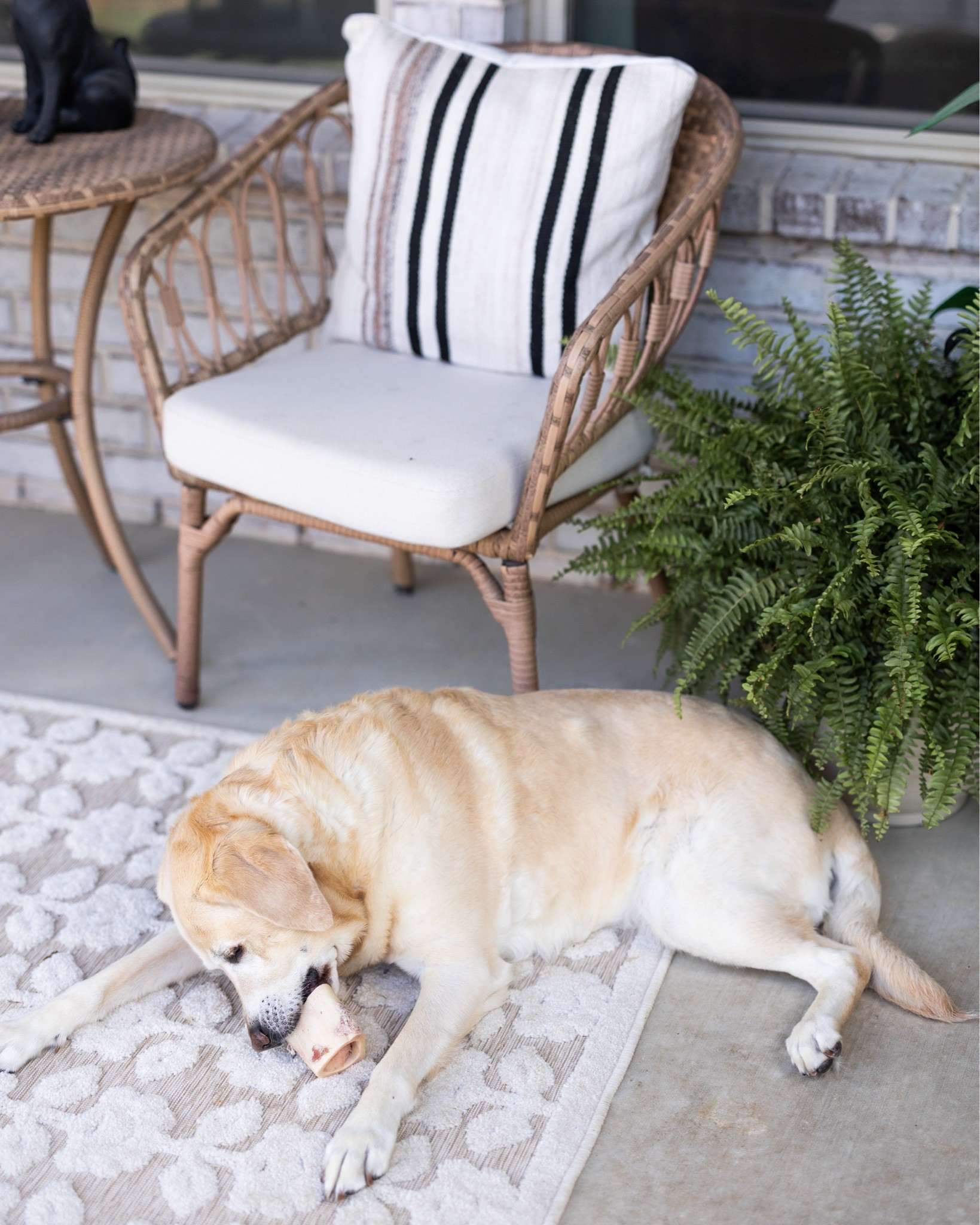 Love the indoor/outdoor My Texas House rugs! They clean SO easily — literally just pressure wash and it’s good as new!

#LTKHome