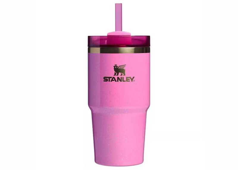 Stanley x Target x Wicked Flowstate Quencher 20oz Tumbler in Glinda | StockX