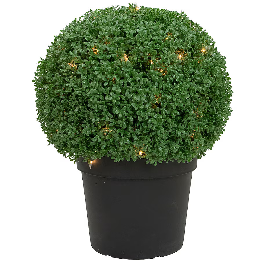 Northlight 18-in Green Indoor Desktop Boxwood Artificial plant | Lowe's