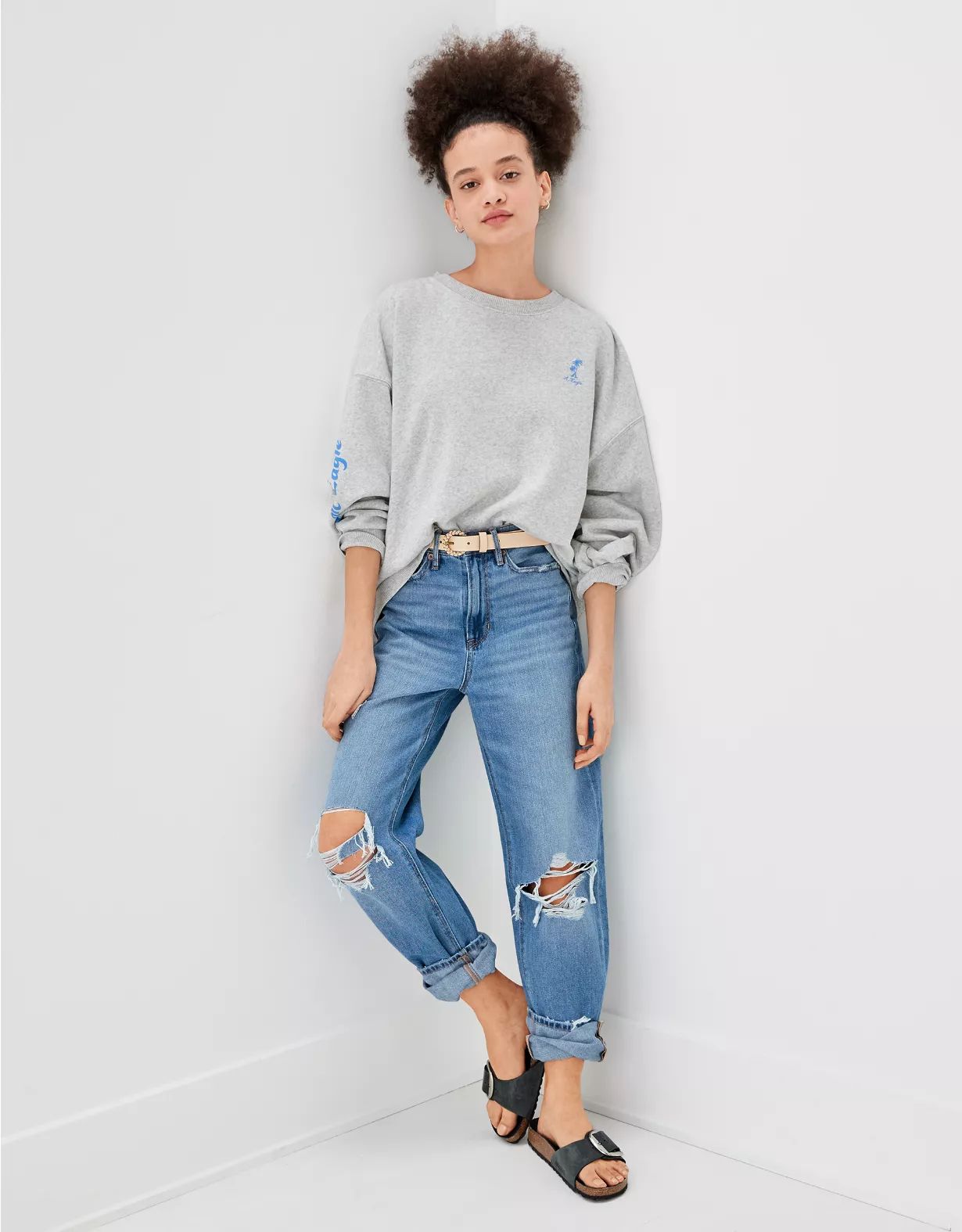 AE Crew Neck Sweatshirt | American Eagle Outfitters (US & CA)