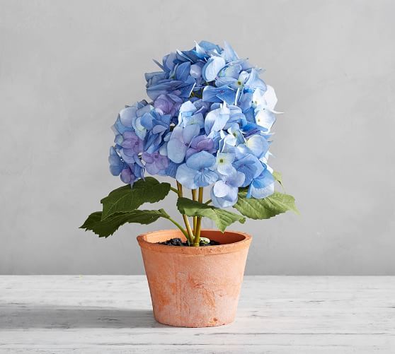 Faux Potted Hydrangea - Blue | Pottery Barn (US)