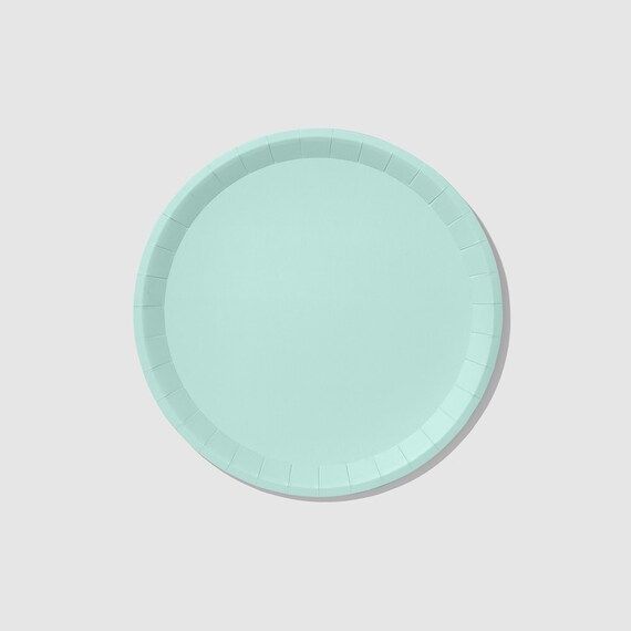 Mint Classic Large Plates 10 per Pack - Etsy | Etsy (US)