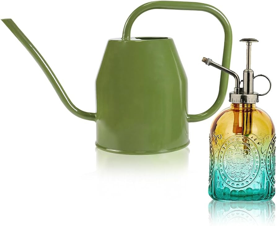 35 oz/1000 ml Metal Indoor Small Watering Can with Long Spout for House Plants Decorative, 12 oz/... | Amazon (US)