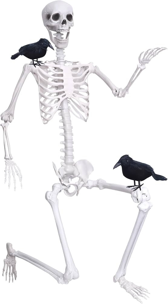 Wocst 6Ft Life Size Skeleton Posable Skeleton with Movable Joints Halloween Full Body Plastic Hum... | Amazon (US)