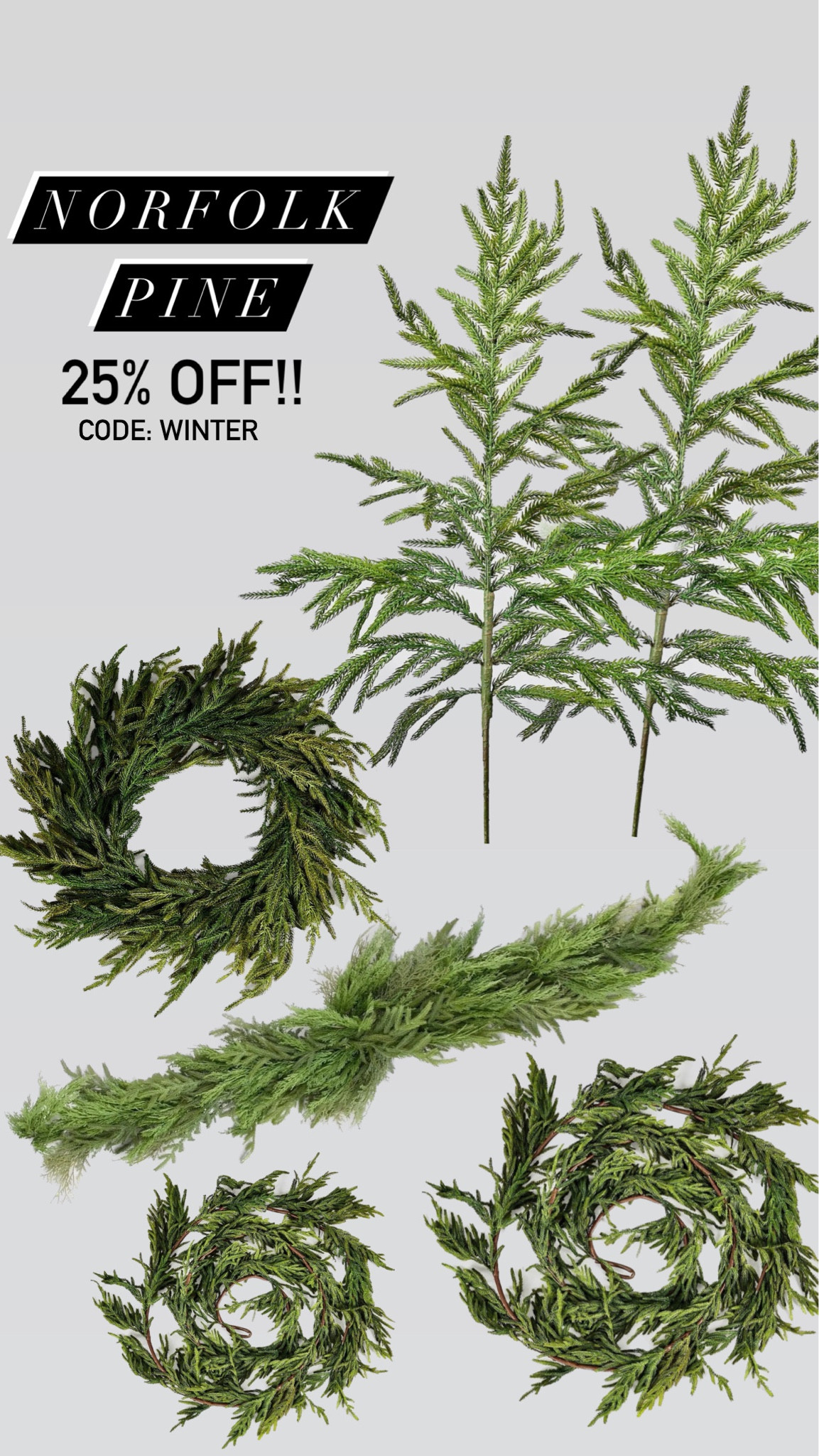 NORFOLK PINE COLLECTION!!🌲🚨
25% OFF!!
CODE: WINTER