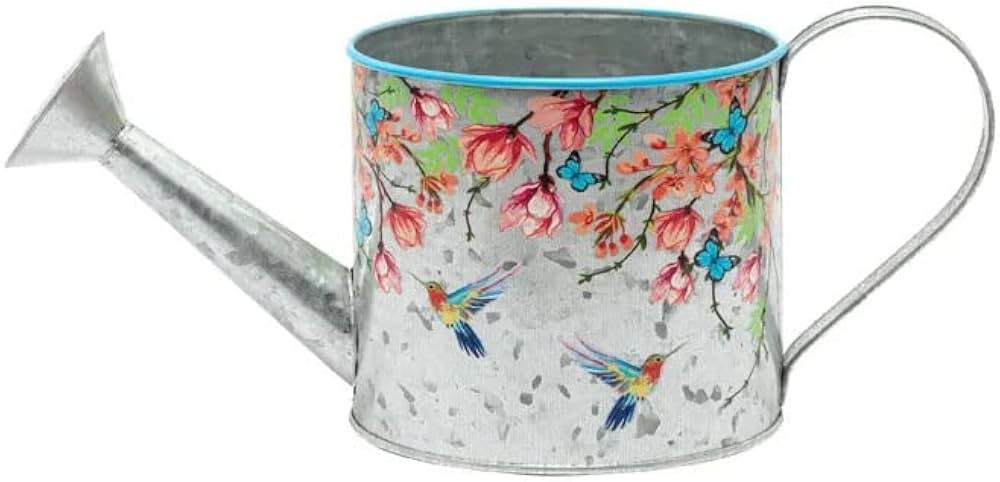 Hummingbird Flowers Multicolored 4.5 x 5 Metal Watering Can Planter | Amazon (US)
