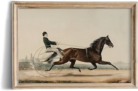 Rustic Farmhouse Wall Art Decor - Unframed Rolled Canvas 24x36 Large - Horse Equine Pony Equestri... | Amazon (US)