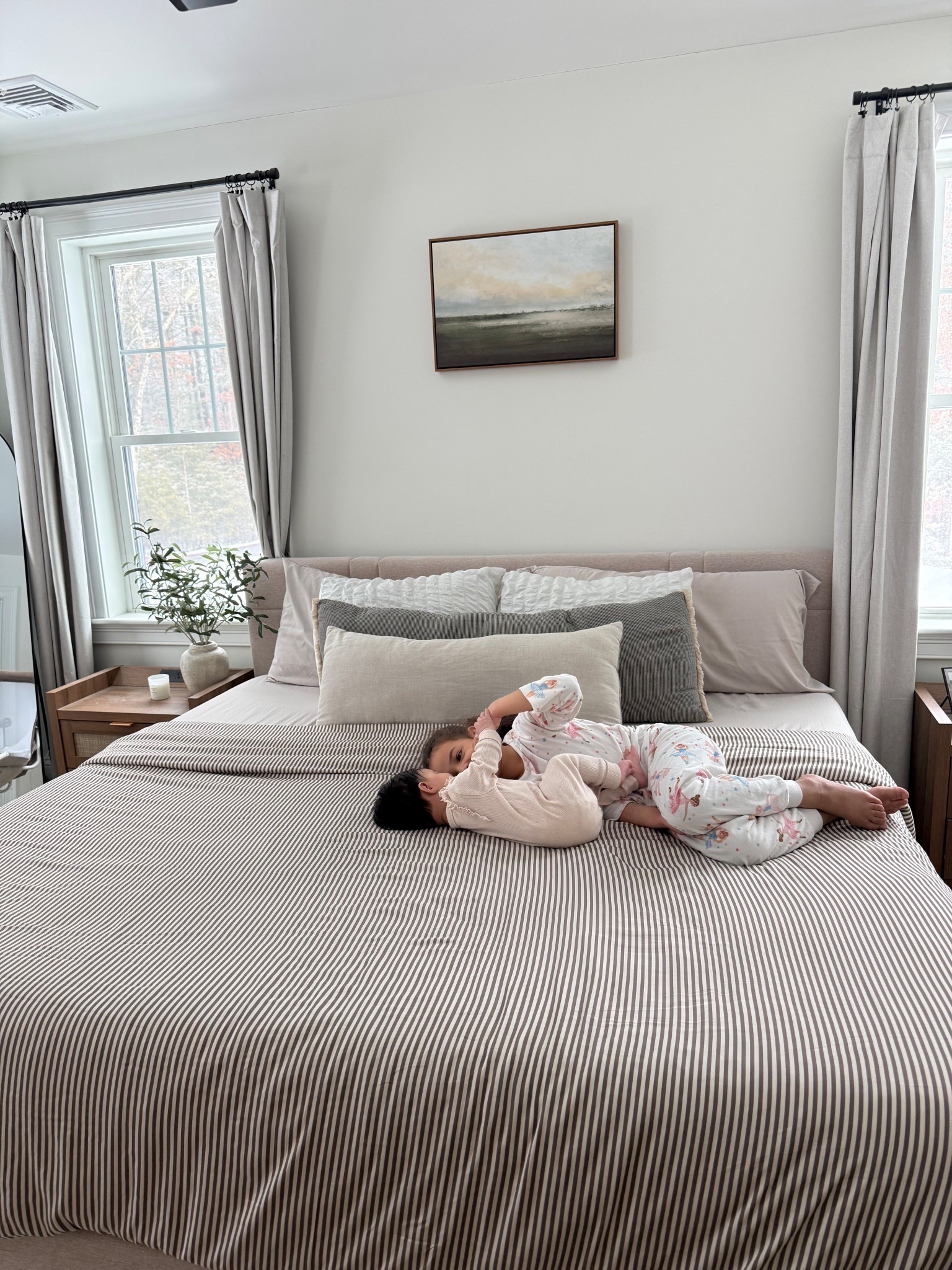 Cozy Earth duvet cover + bamboo insertts