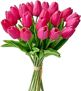 Mandy's 20pcs Hot Pink Artificial Tulip Silk Flowers Fuchsia Flowers 13.5" for Valentine’s Day ... | Amazon (US)