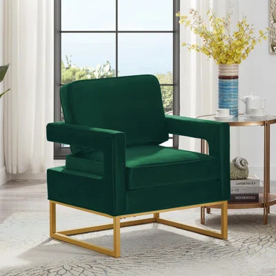 Modern Style Accent Chair With Gold Metal Base , Velvet Upholstered Leisure Chair With Open Armrest, Armchair (Accent Chair) | Wayfair North America