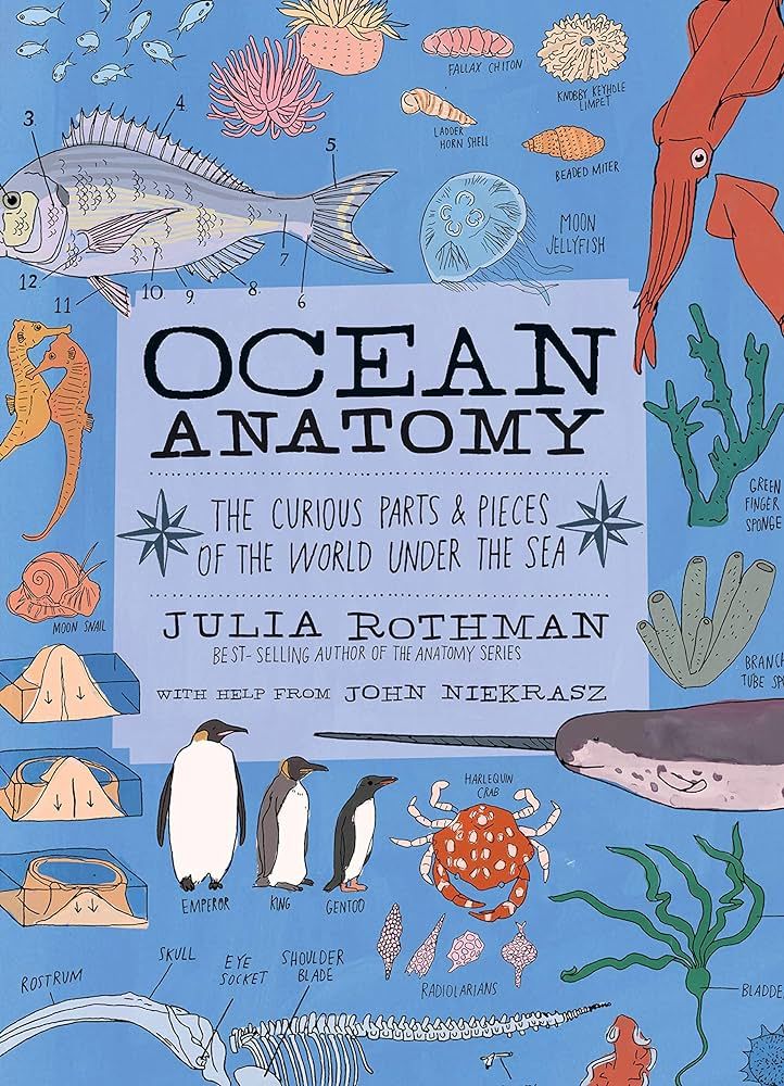 Ocean Anatomy: The Curious Parts & Pieces of the World under the Sea | Amazon (US)