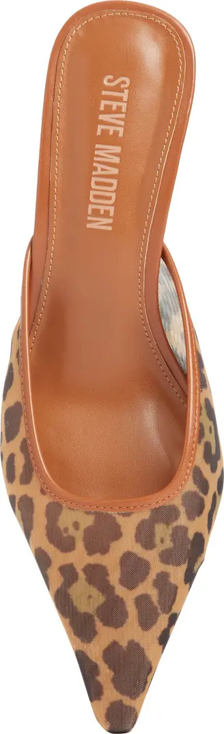 Steve Madden Lisbeth Pointed Toe Mule (Women) | Nordstrom | Nordstrom