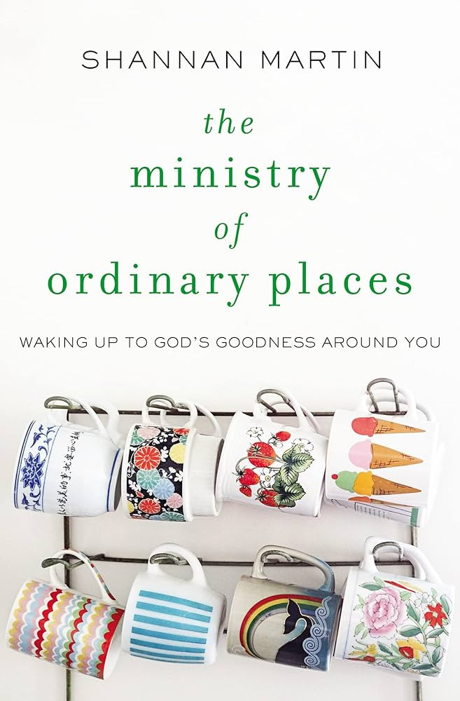 The Ministry of Ordinary Places: Waking Up to God's Goodness Around You | Amazon (US)