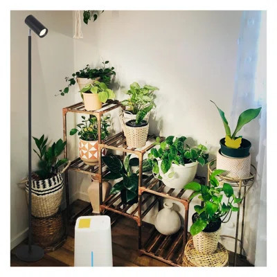 Full Spectrum Grow Light Stand for Indoor Plants - Height Adjustable LED Plant Light with 4/8/12H Timer, 20W COB Plant Lamp for Tall Indoor Plants and | Wayfair North America