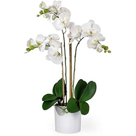 LingRenDu Faux White Orchids Artificial Flowers-18 Large Artificial Orchids with Vase-Silk Orchid Ar | Amazon (US)