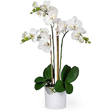 LingRenDu Faux White Orchids Artificial Flowers-18 Large Artificial Orchids with Vase-Silk Orchid Ar | Amazon (US)