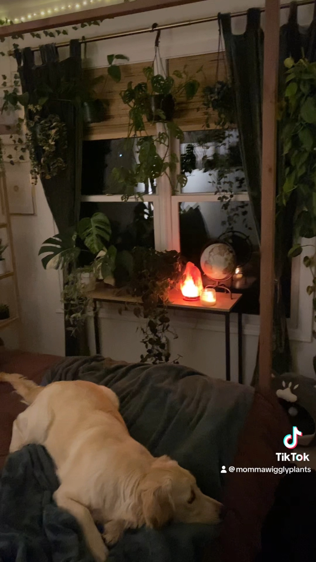 Teenager bedroom


Canopy bed, retro bedroom, plants, duvet, shelves, home decor, bedroom aesthetics 

#LTKfamily #LTKVideo #LTKhome