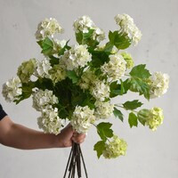 25 Faux Snowball Flower in Cream/green, Real Touch Flowers, Faux Botanicals, DIY Florals, Wedding... | Etsy (US)