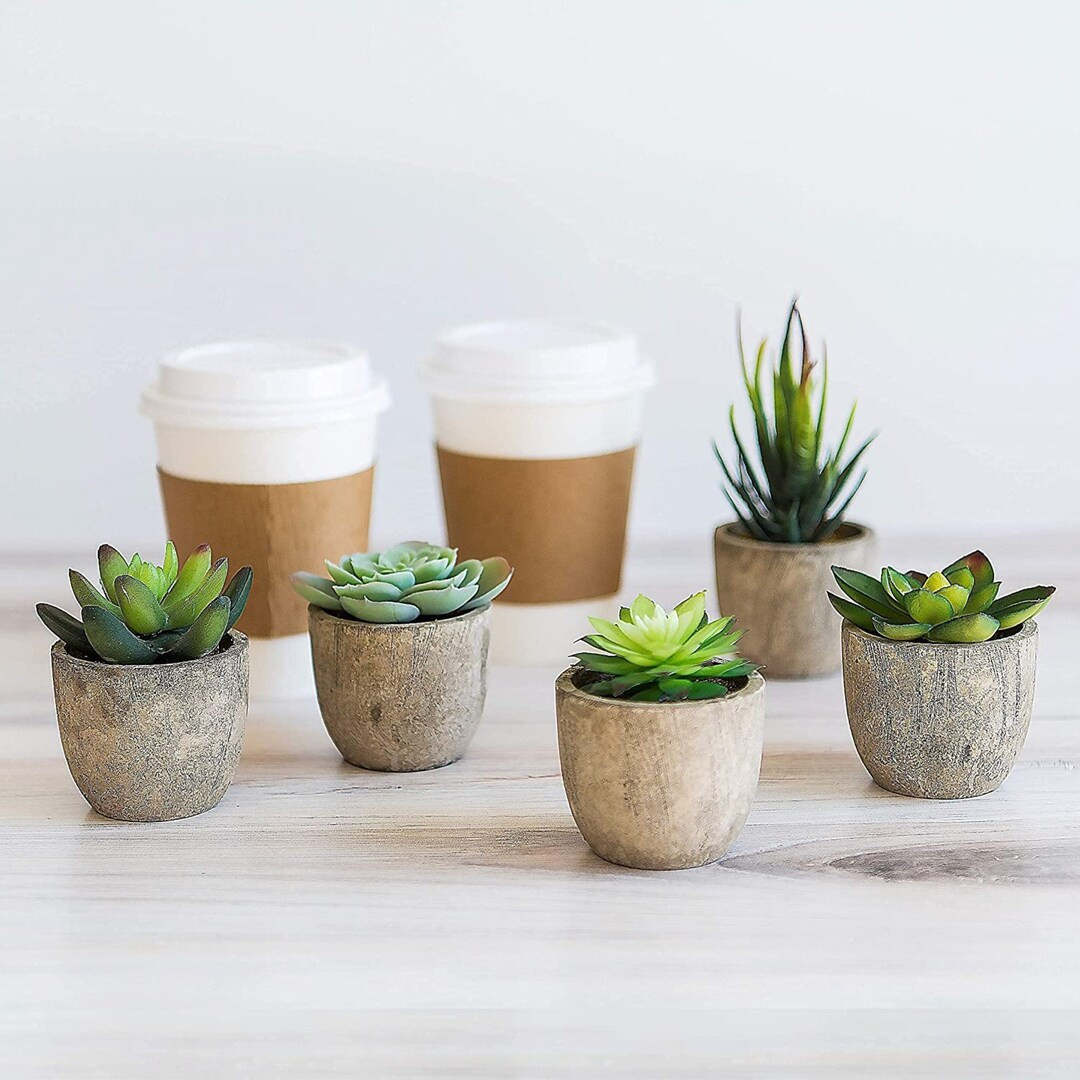 Realistic Fake Succulent Plants Artificial for Decoration Home Office Desk Set of 5 Mini Succulen... | Etsy (US)