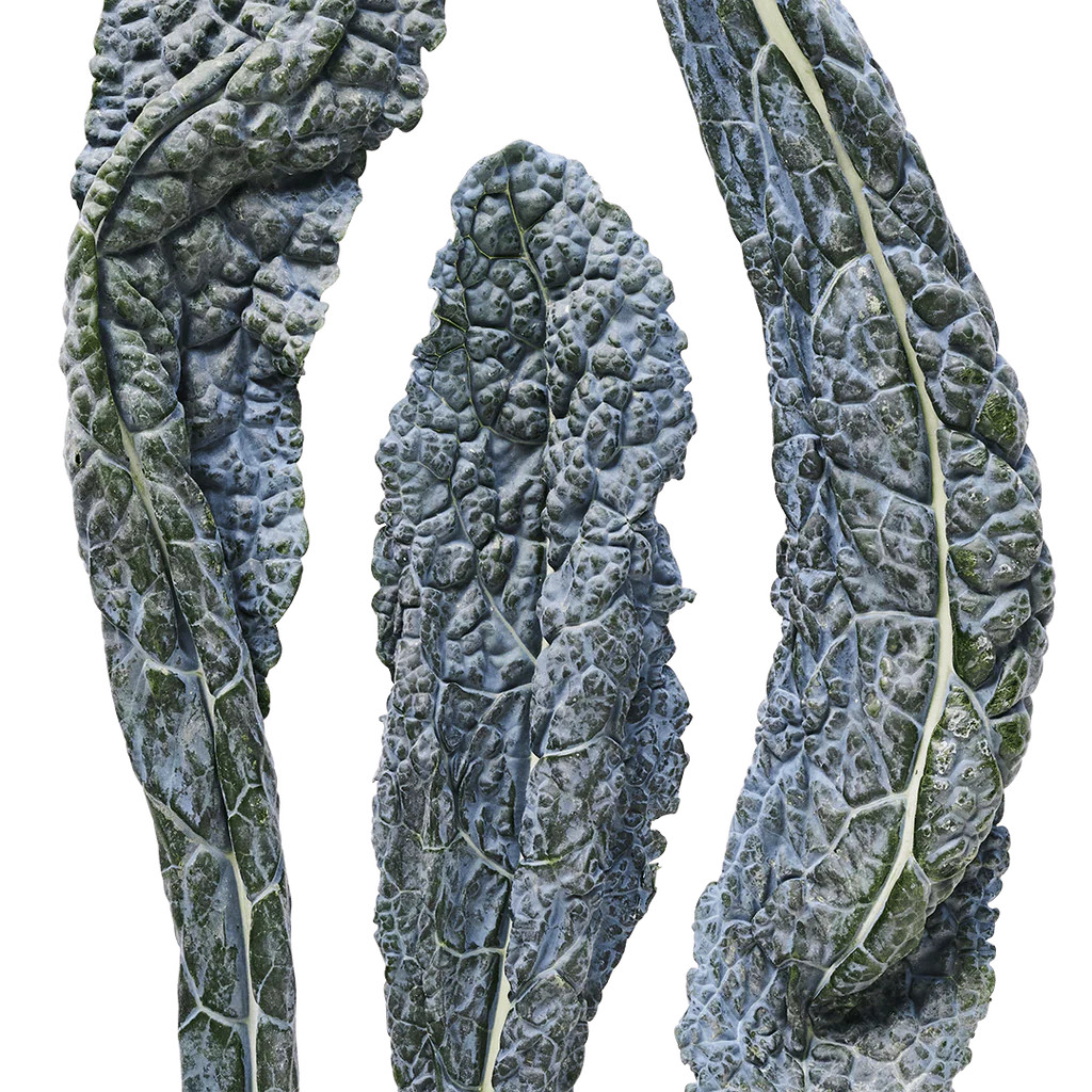 Dazzling Blue Kale | Lettuce Grow