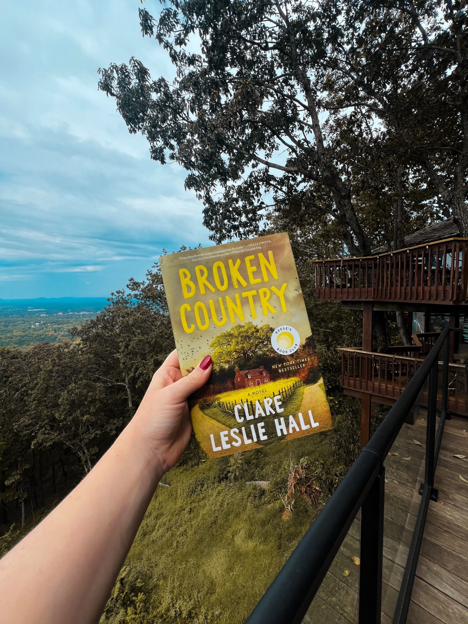 “The farmer is dead. He is dead, and all anyone wants to know is who killed him.”

Beth and her gentle, kind husband Frank are happily married, but their relationship relies on the past staying buried. But when Beth’s brother-in-law shoots a dog going after their sheep, Beth doesn’t realize that the gunshot will alter the course of their lives. For the dog belonged to none other than Gabriel Wolfe, the man Beth loved as a teenager—the man who broke her heart years ago. Gabriel has returned to the village with his young son Leo, a boy who reminds Beth very much of her own son, who died in a tragic accident.

As Beth is pulled back into Gabriel’s life, tensions around the village rise and dangerous secrets and jealousies from the past resurface, this time with deadly consequences. Beth is forced to make a choice between the woman she once was, and the woman she has become.

A sweeping love story with the pace and twists of a thriller, Broken Country is a novel of simmering passion, impossible choices, and explosive consequences that toggles between the past and present to explore the far-reaching legacy of first love. 

#LTKU #LTKSeasonal #LTKHome