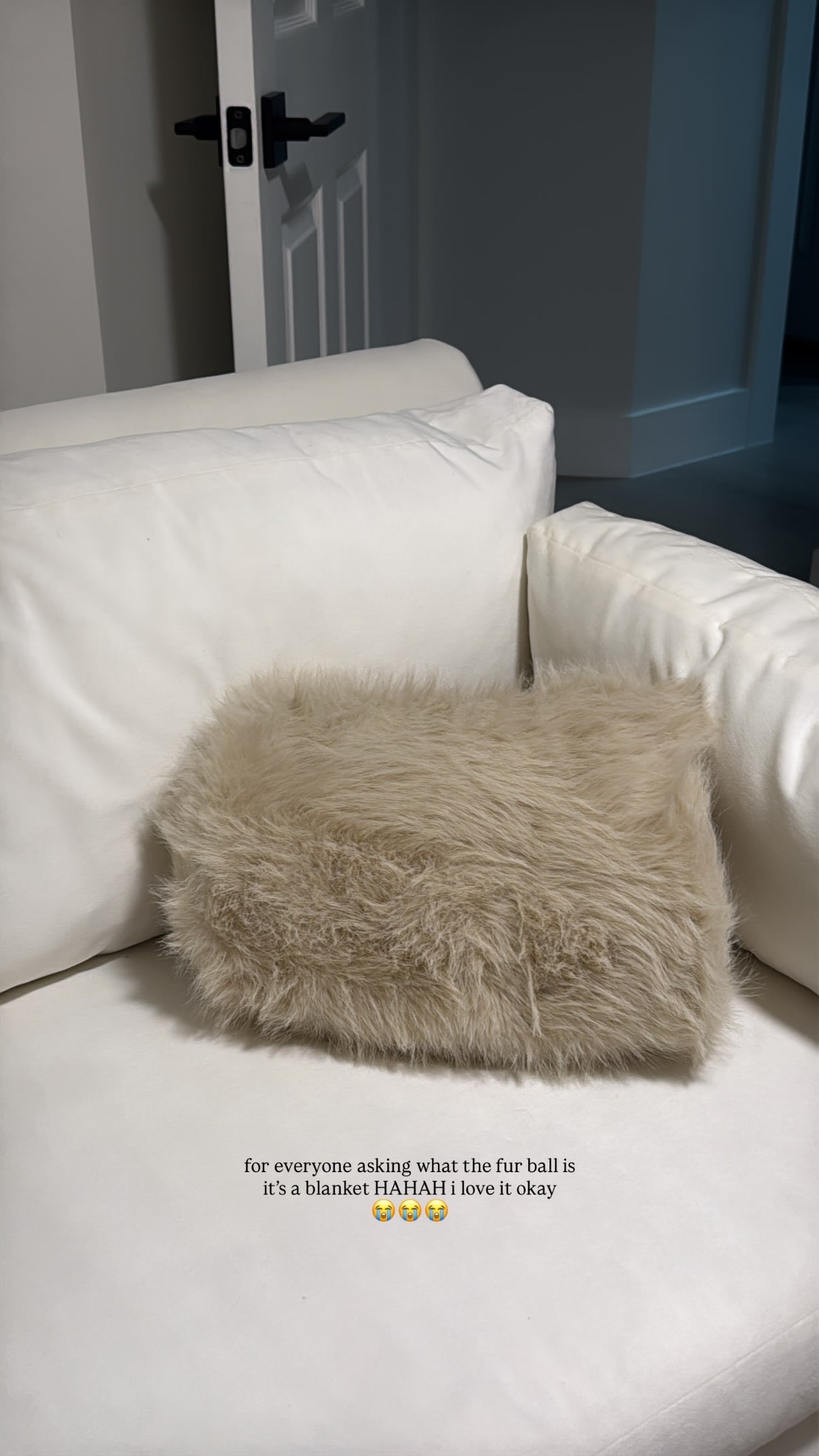 i think this might be one of my favorite blankets lol | faux fur throw from target 

 #LTKHome #LTKSaleAlert