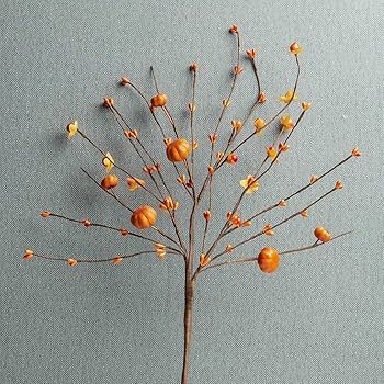 jinghong 6PCS Artificial Berry Stems,Orange Pumpkin Stems Berry Spray Picks Autumn Celebration St... | Amazon (US)