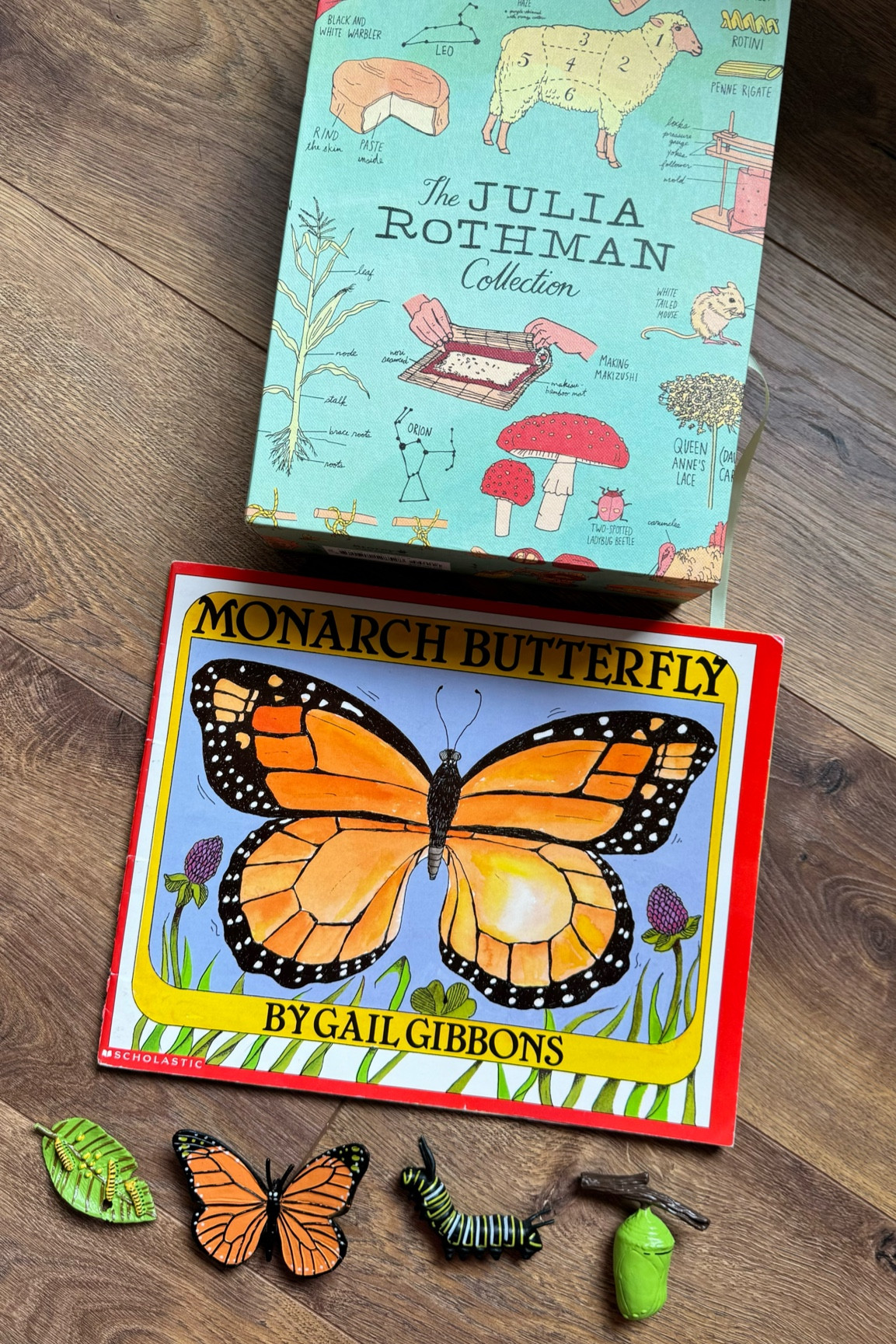 Monarch Butterfly learning & figurines! 

Homeschool 
Educational toys 

#LTKFamily #LTKKids #LTKSeasonal