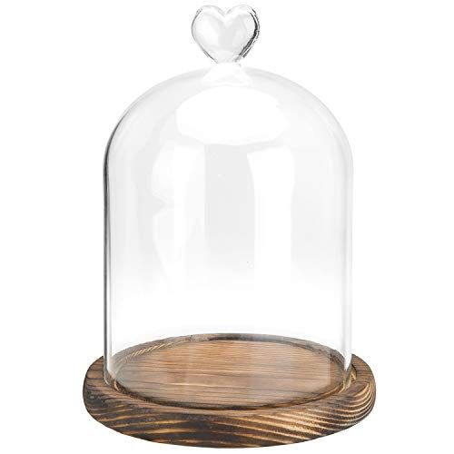 MyGift Clear Glass Cloche Bell Jar Display Case with Heart Top Handle & Dark Brown Wooden Base | Amazon (US)