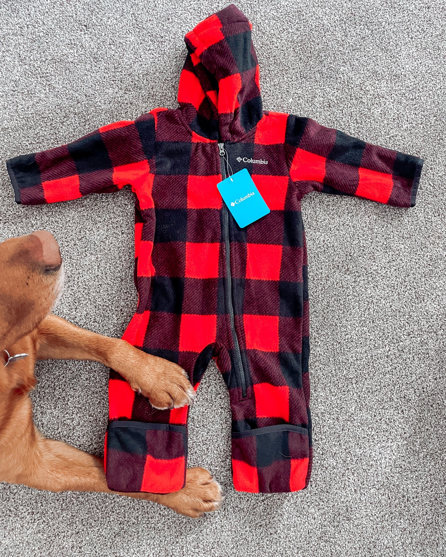 I can’t wait to put a little babe in here 🫶🏼🫶🏼 y’all these fleece buntings are 50% off… run!! 

#LTKFind #LTKbaby #LTKsalealert