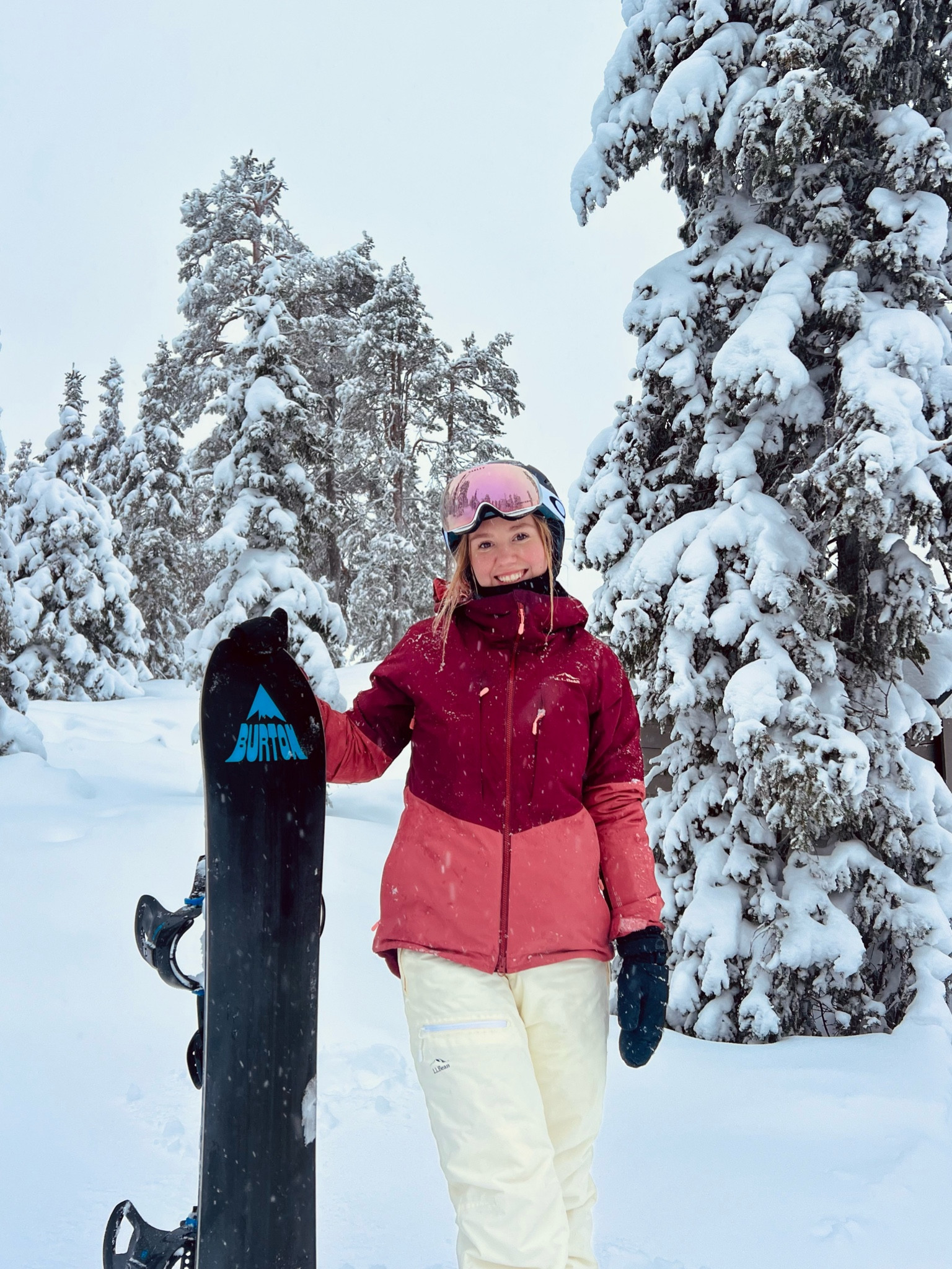 Womens Wildcat Bib and Ski Jacket, both XS
