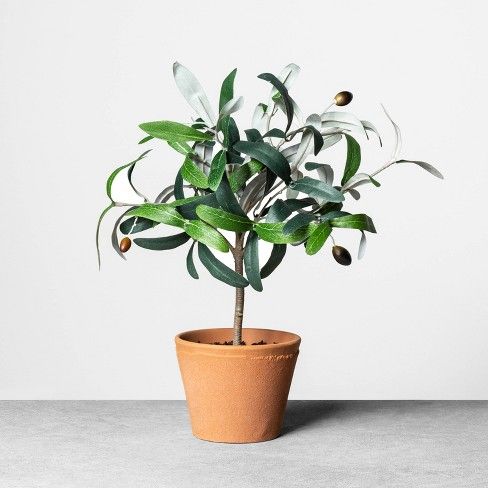 Faux Olive Branch Plant - Hearth & Hand™ with Magnolia | Target