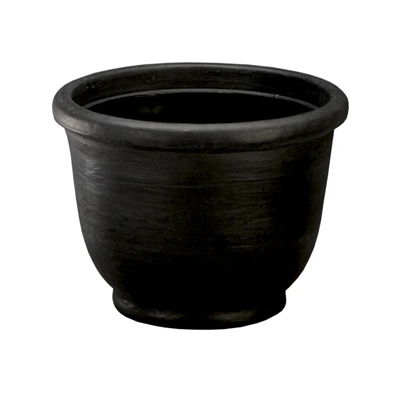 Leontion Plastic Pot Planter | Wayfair North America