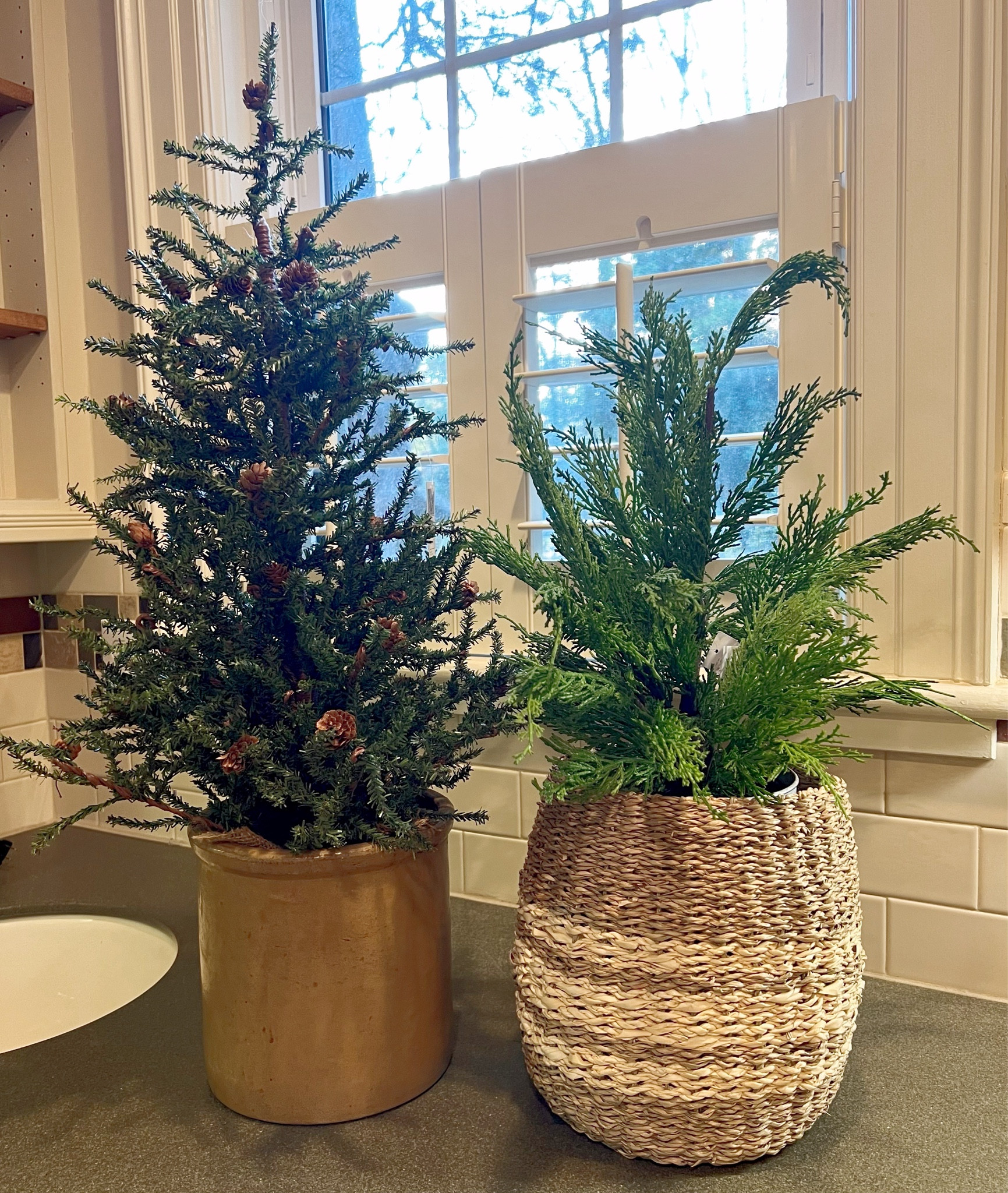 I love using these trees all through our house.  And these are great to use all winter long  

#LTKhome #LTKHoliday #LTKSeasonal