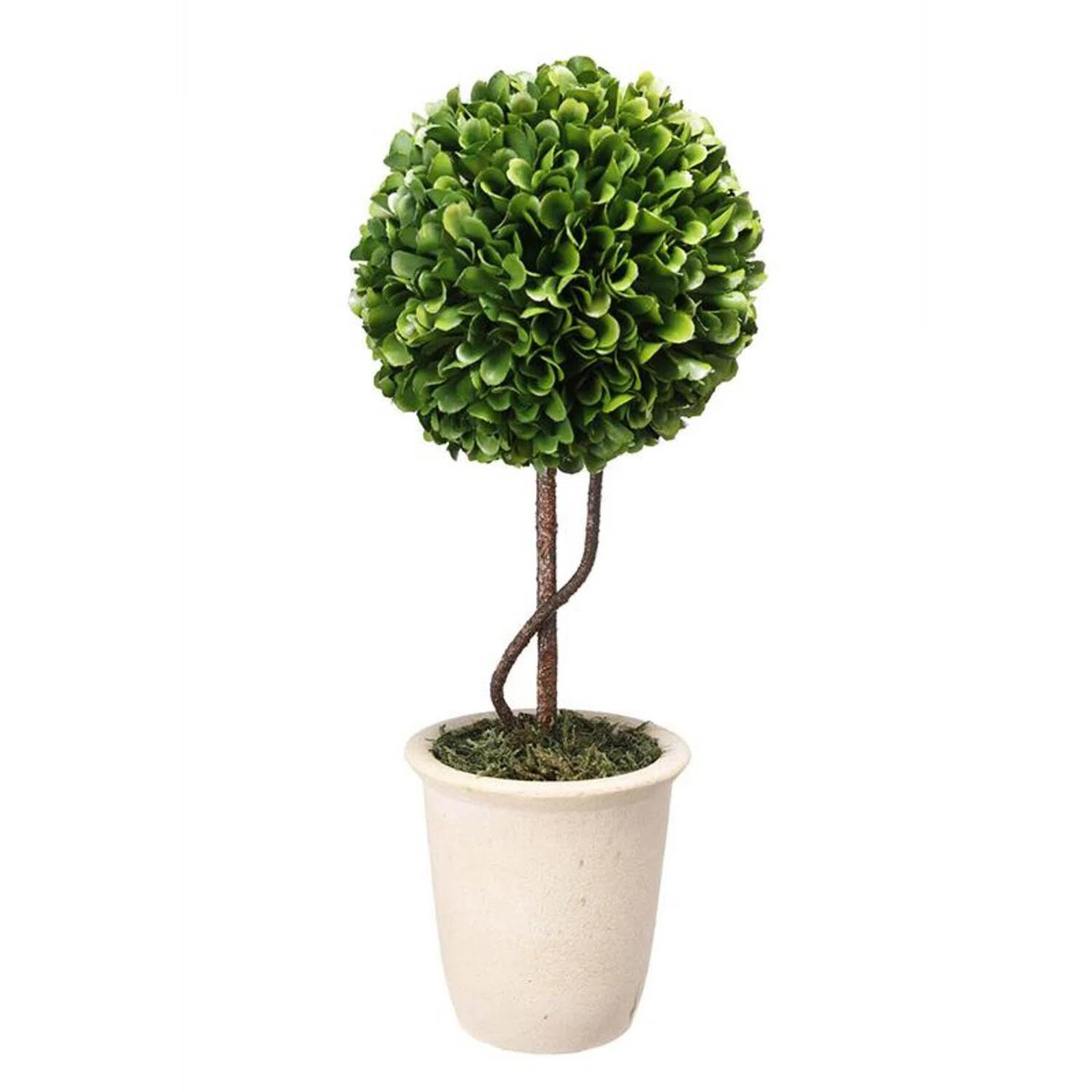 Gracie Oaks Single Sphere Faux Boxwood Topiary in Pot | Wayfair | Wayfair North America
