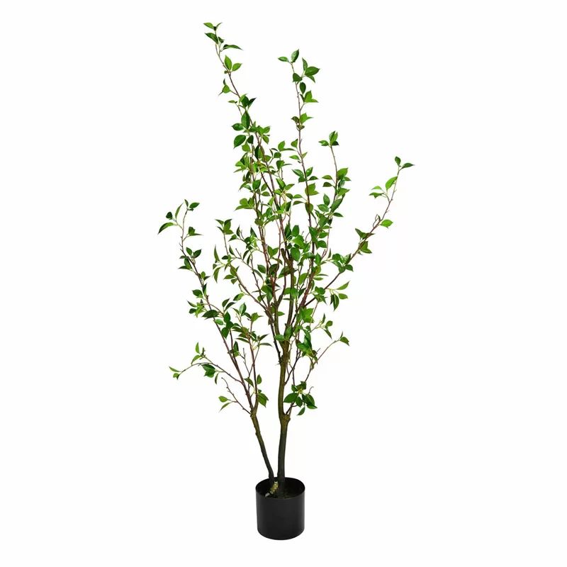 Artificial Potted Baby Leaf Tree | Wayfair North America