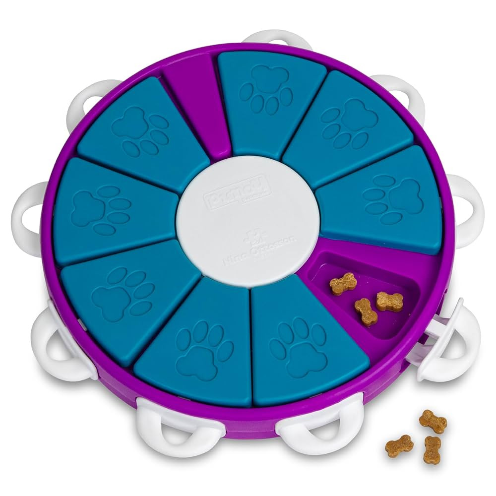 Outward Hound by Nina Ottosson Dog Twister Treat Puzzle Enrichment Toy, Level 3 Advanced, Purple | Amazon (US)