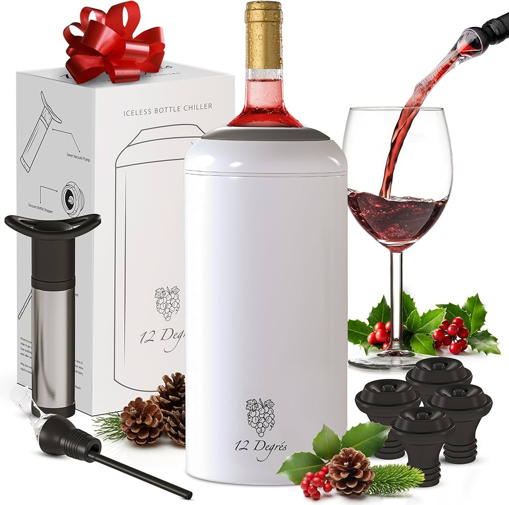 Wine Chiller Set - Perfect Wine Gifts for Women & Men - Stainless Steel Insulated Wine Cooler wit... | Amazon (US)