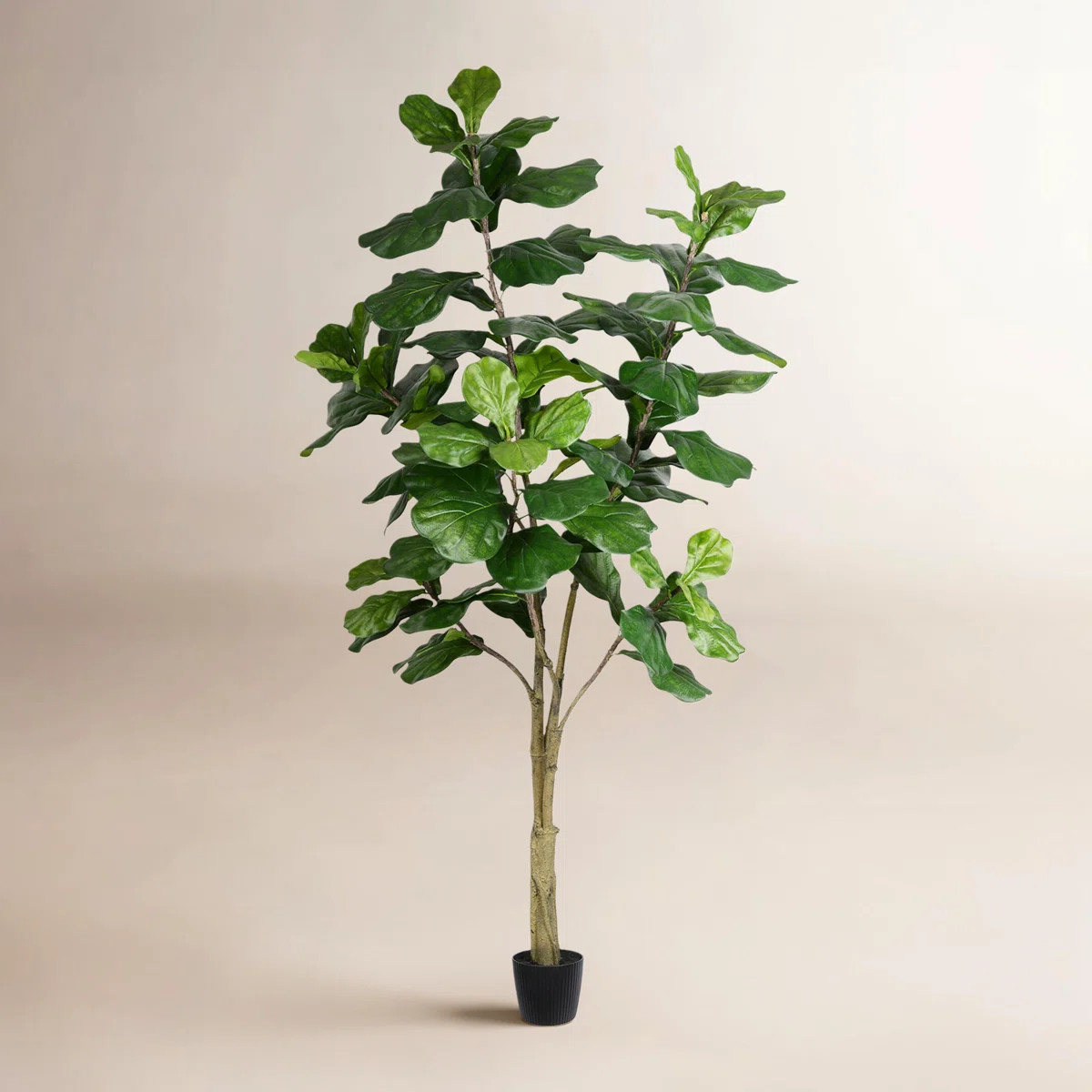 Birch Lane\u2122 Artificial Potted Fiddle Tree. & Reviews | Birch Lane | Birch Lane